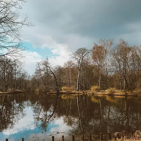 5 Minut Od Parku Zamkowego