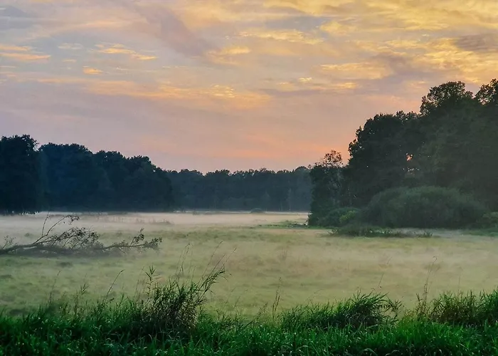 5 Minut Od Parku Zamkowego Pszczyna